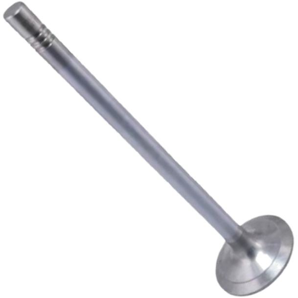 Kit 6 Válvula de Admissão - Mahle Metal Leve - VA0461734 STD