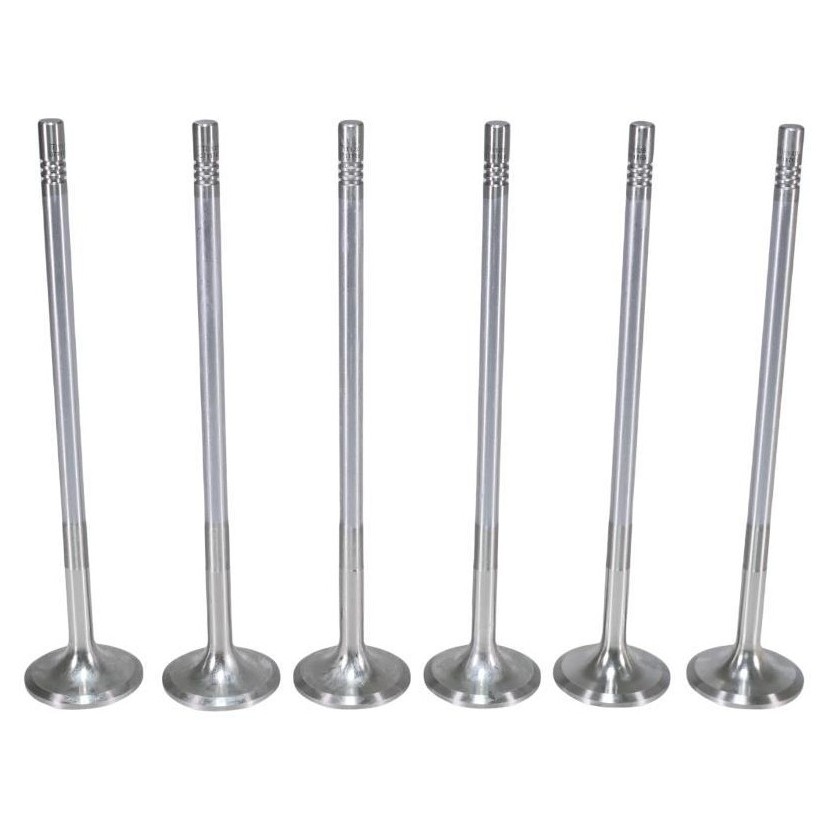Kit 6 Válvula de Admissão para Volvo FM 370 - Mahle Metal Leve - VA0711765 STD