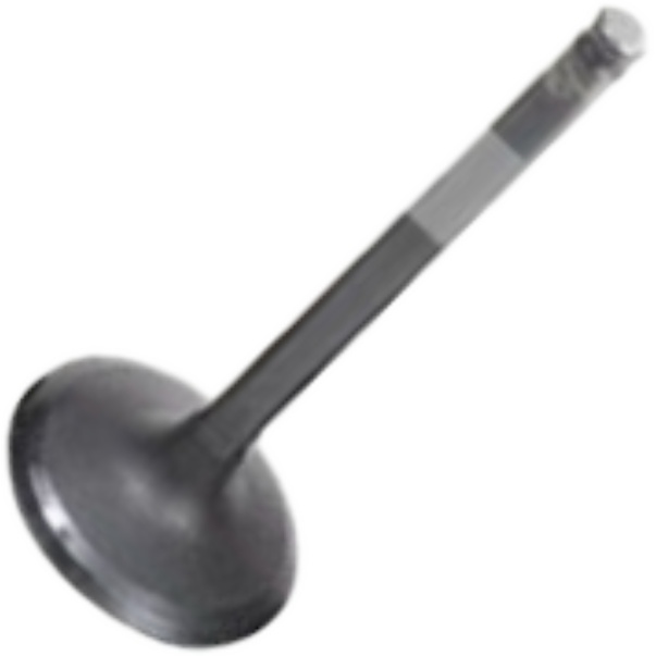 Kit 6 Válvula de Admissão para Mitsubishi Pajero - Mahle Metal Leve - VA1950234 STD