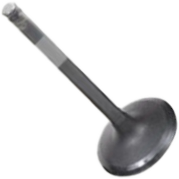 Kit 6 Válvula de Admissão para Mitsubishi Pajero - Mahle Metal Leve - VA1950234 STD