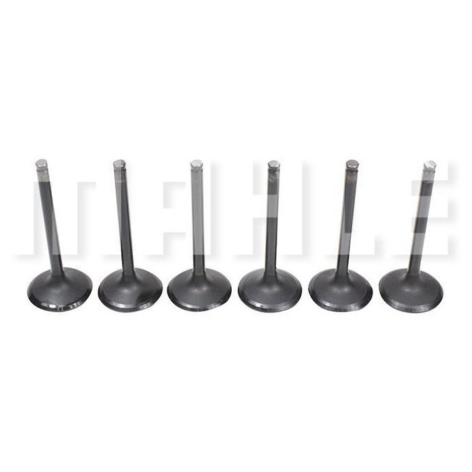 Kit 6 Válvula de Admissão para Mitsubishi Pajero - Mahle Metal Leve - VA1950234 STD