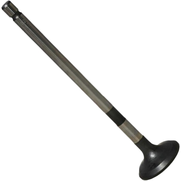 Kit 4 Válvula de Escape - Mahle Metal Leve - VE0631774 STD