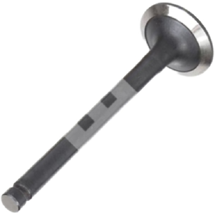 Kit 4 Válvula de Escape para KIA Besta e Bongo - Mahle Metal Leve - VE2110186 STD