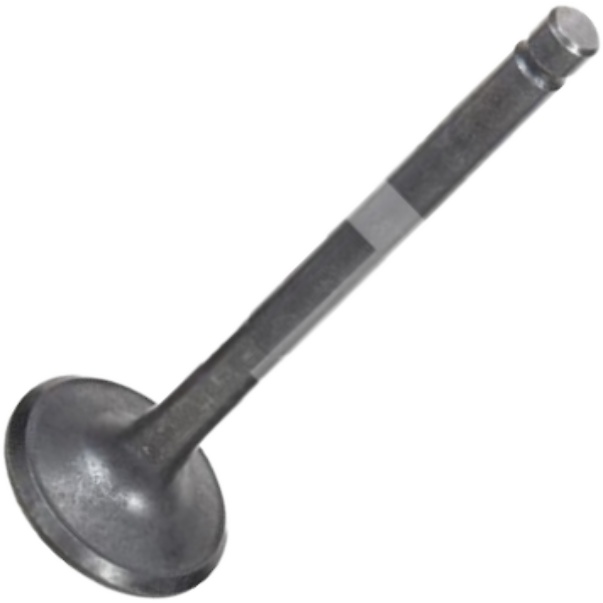 Kit 4 Válvula de Escape para KIA Besta - Mahle Metal Leve - VE2110188 STD