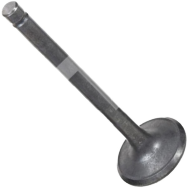Kit 4 Válvula de Escape para KIA Besta - Mahle Metal Leve - VE2110188 STD