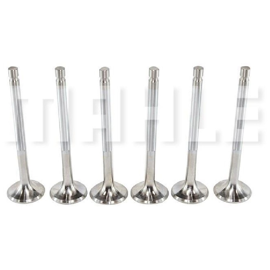 Kit 6 Válvula de Escape - Mahle Metal Leve - VE0760012 STD