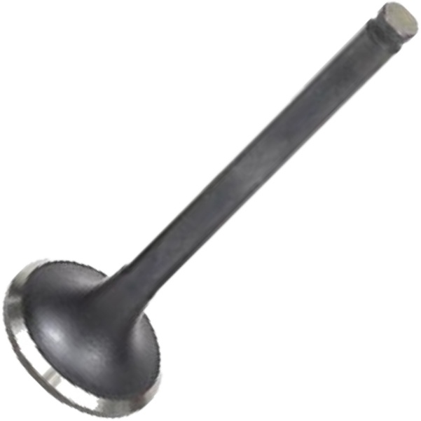 Kit 6 Válvula de Escape para Mitsubishi Pajero - Mahle Metal Leve - VE1950235 STD