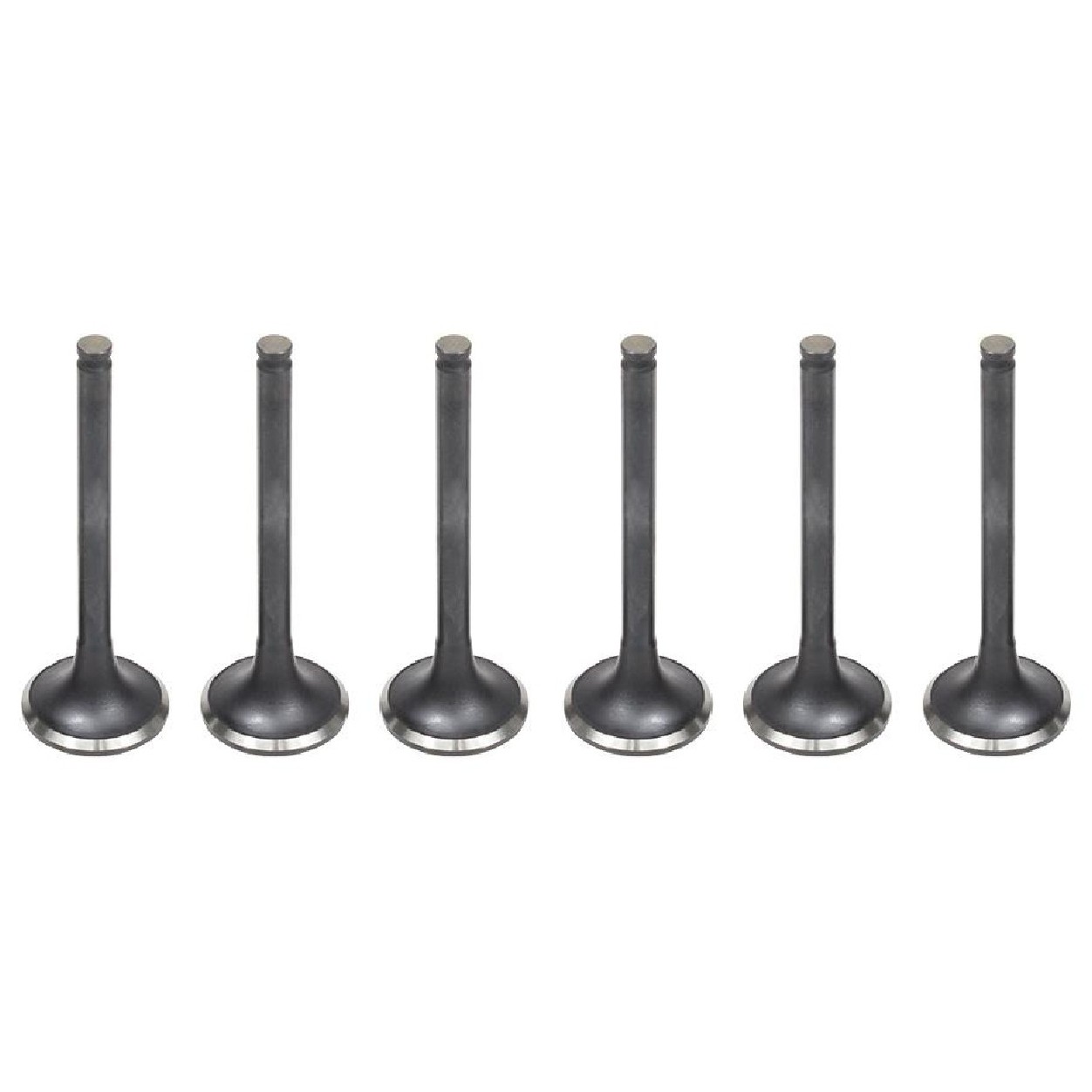 Kit 6 Válvula de Escape para Mitsubishi Pajero - Mahle Metal Leve - VE1950235 STD
