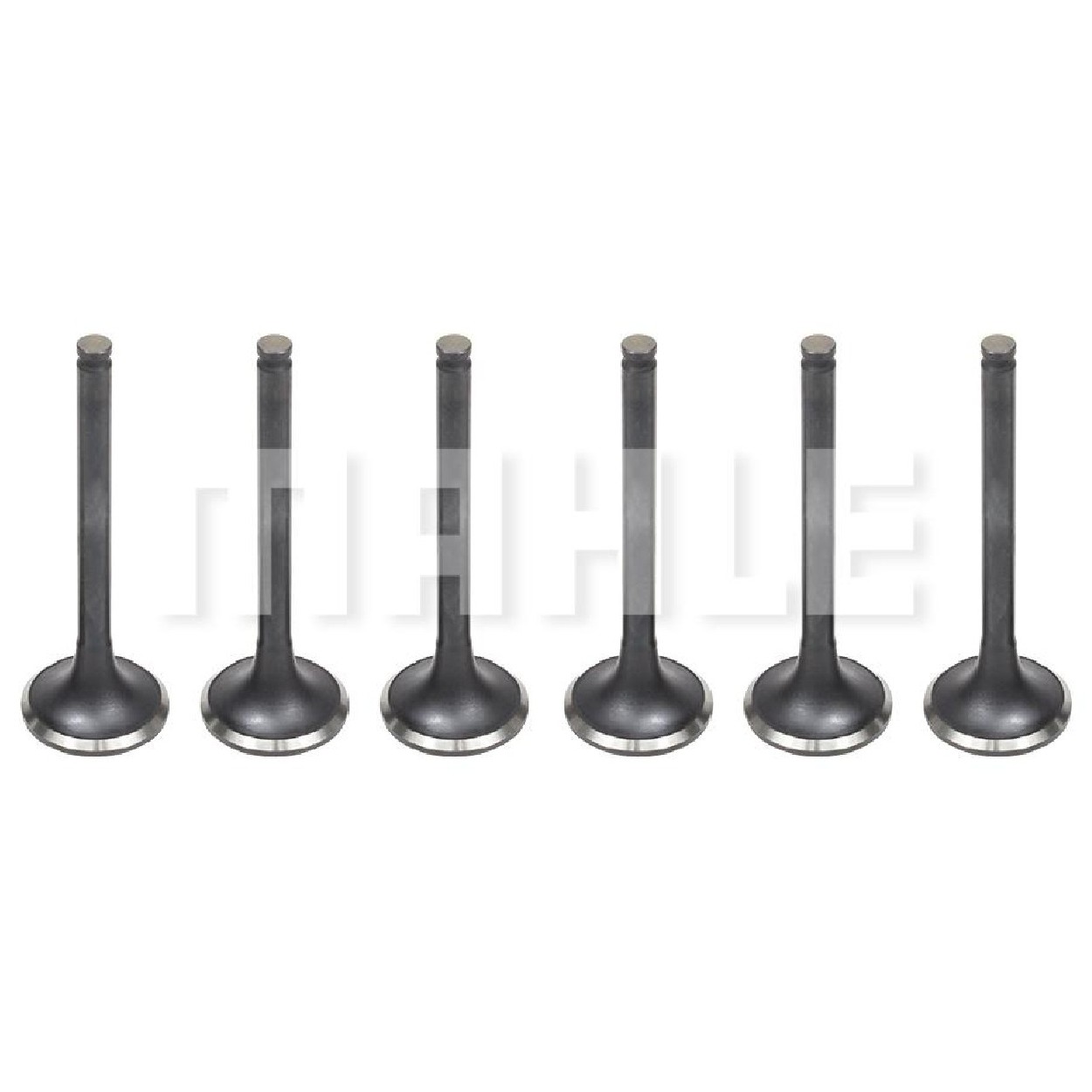 Kit 6 Válvula de Escape para Mitsubishi Pajero - Mahle Metal Leve - VE1950235 STD