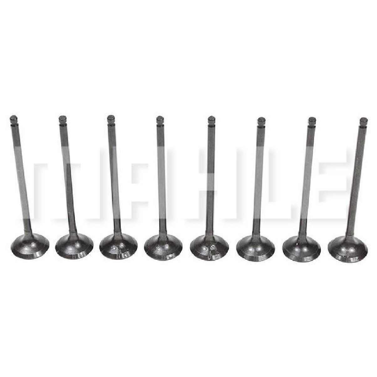 Kit 8 Válvula de Escape para Nissan March e Versa - Mahle Metal Leve - VE0031609 STD