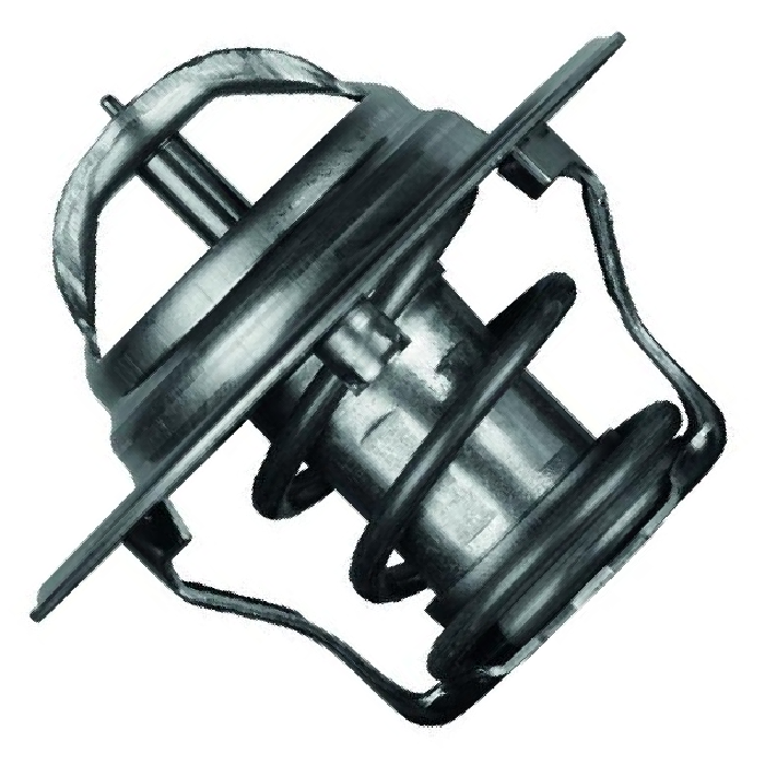 Válvula Termostática para Ford Fiesta e Fiesta Sedan - Mahle Behr - TX 4 92D