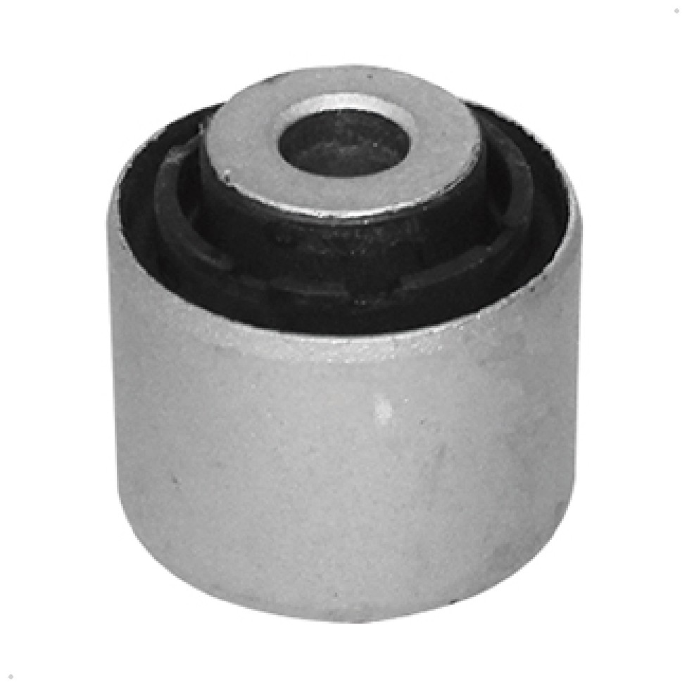 Bucha - Sampel - SP110012