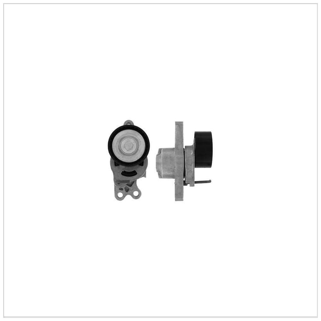 Tensionador de Correia para Citroen Berlingo - SKF - VKM 33300