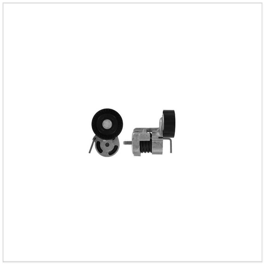 Tensionador Correia - SKF - VKM 38236