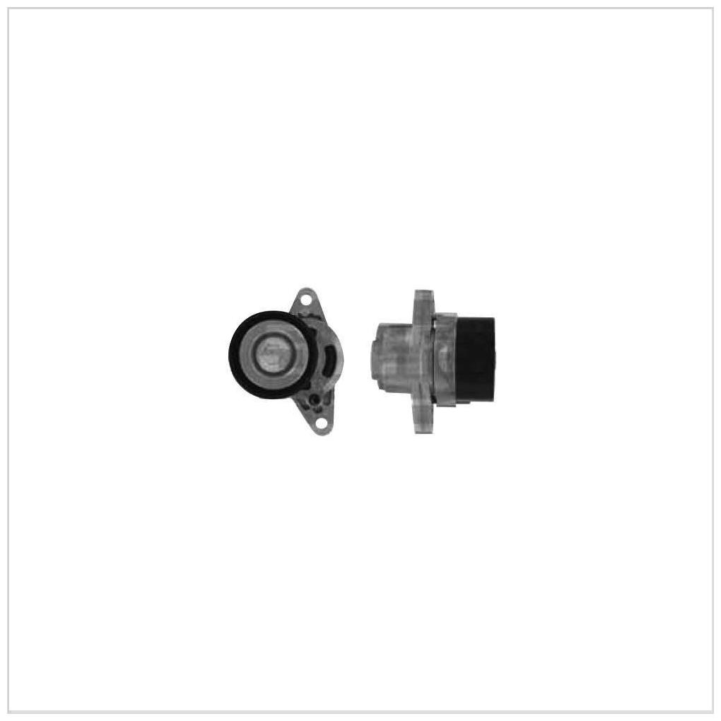 Tensionador Correia - SKF - VKM 4907