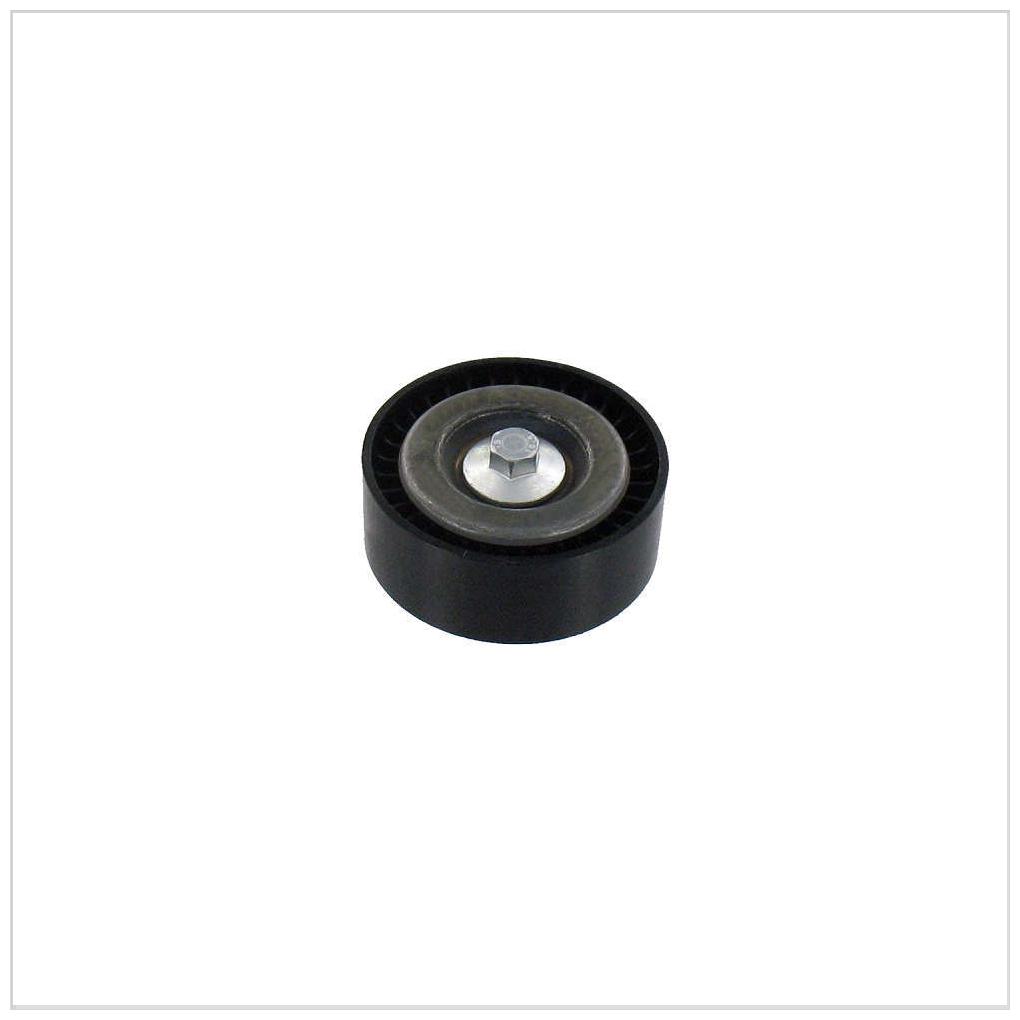 Polia da Correia - SKF - VKM 34219 A