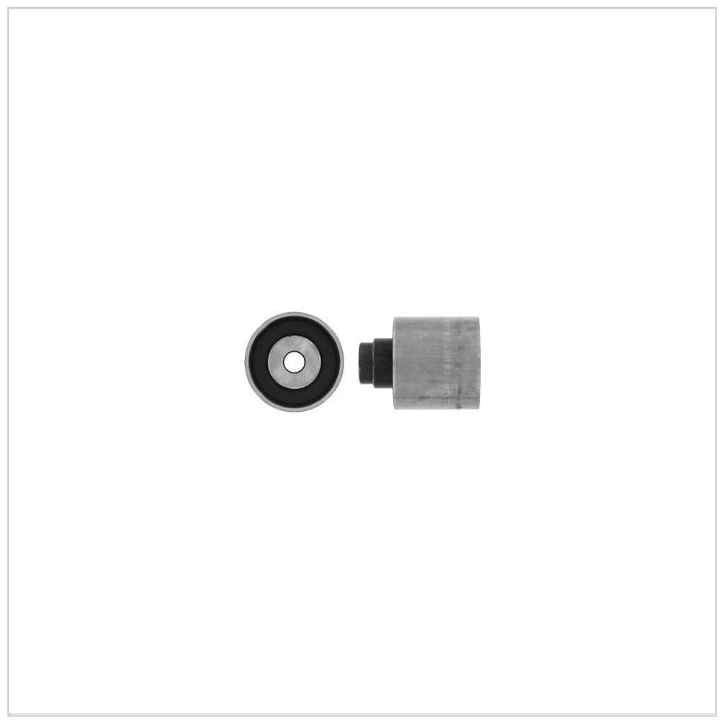 Polia da Correia para Volkswagen Amarok - SKF - VKM 21147