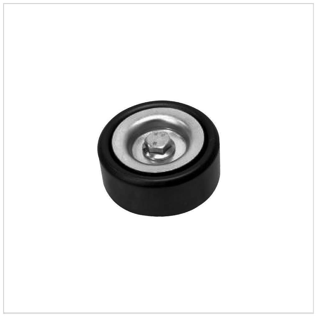 Polia da Correia para Ford Ranger - SKF - VKM 4920