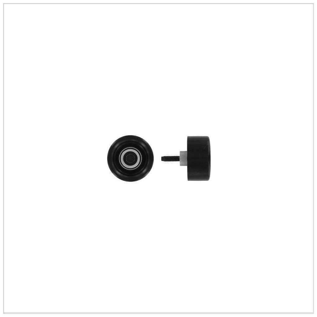 Polia da Correia para Ford Transit - SKF - VKM 34072