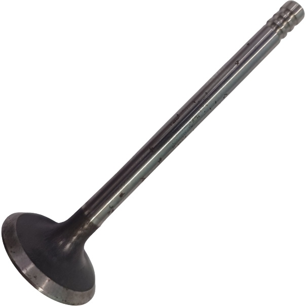 Válvula de Admissão para Volkswagen Gol - TRW - VX2930AA
