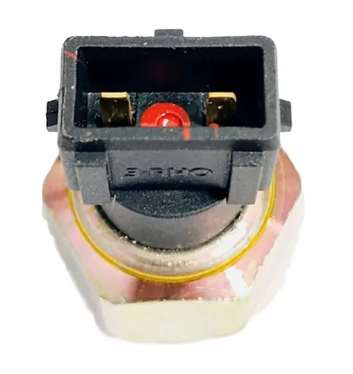 Interruptor Ar de Freio - 5.5 bar - 3-RHO - 5591