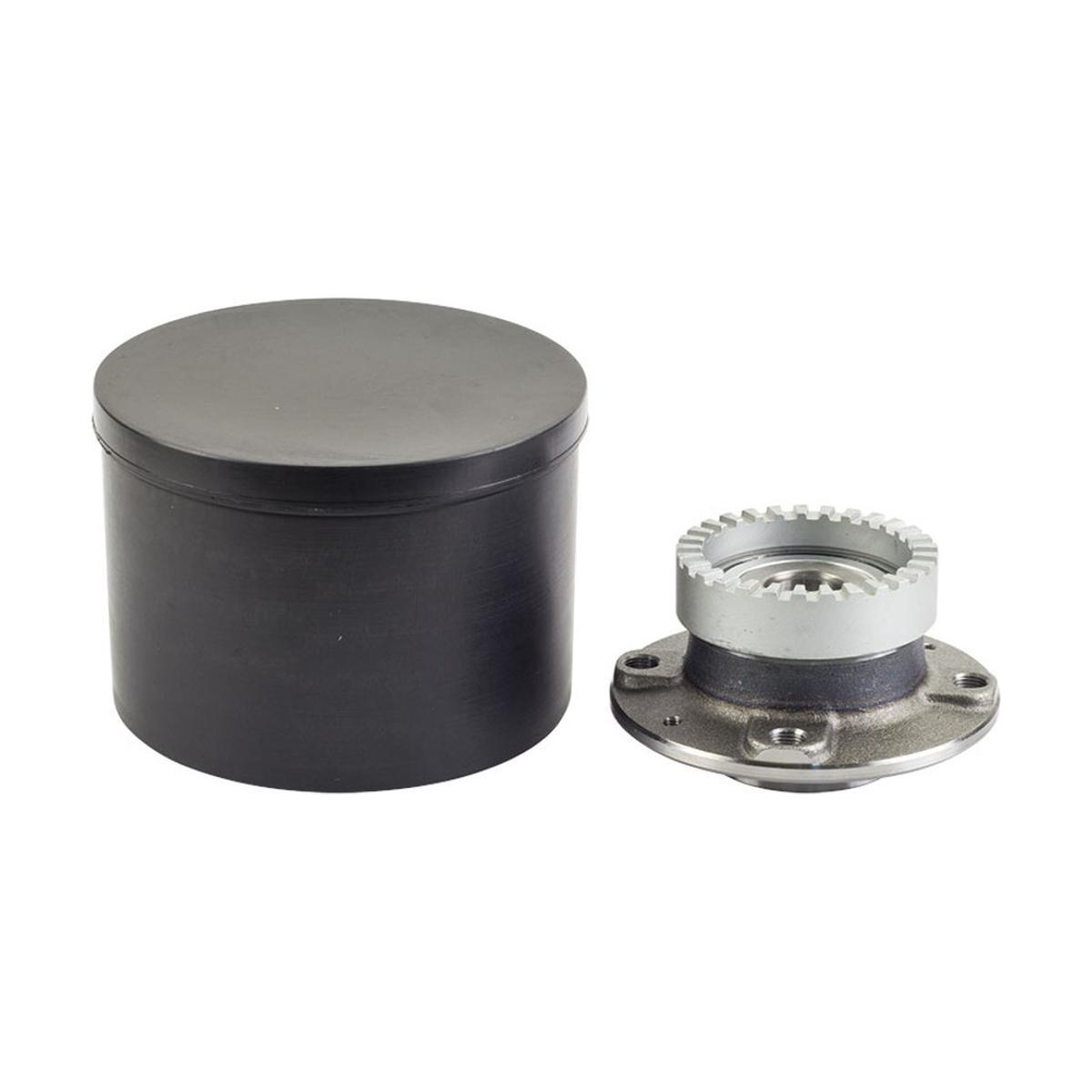 Cubo de Roda Traseiro para Citroen Xsara e ZX - Vetor - B2134A