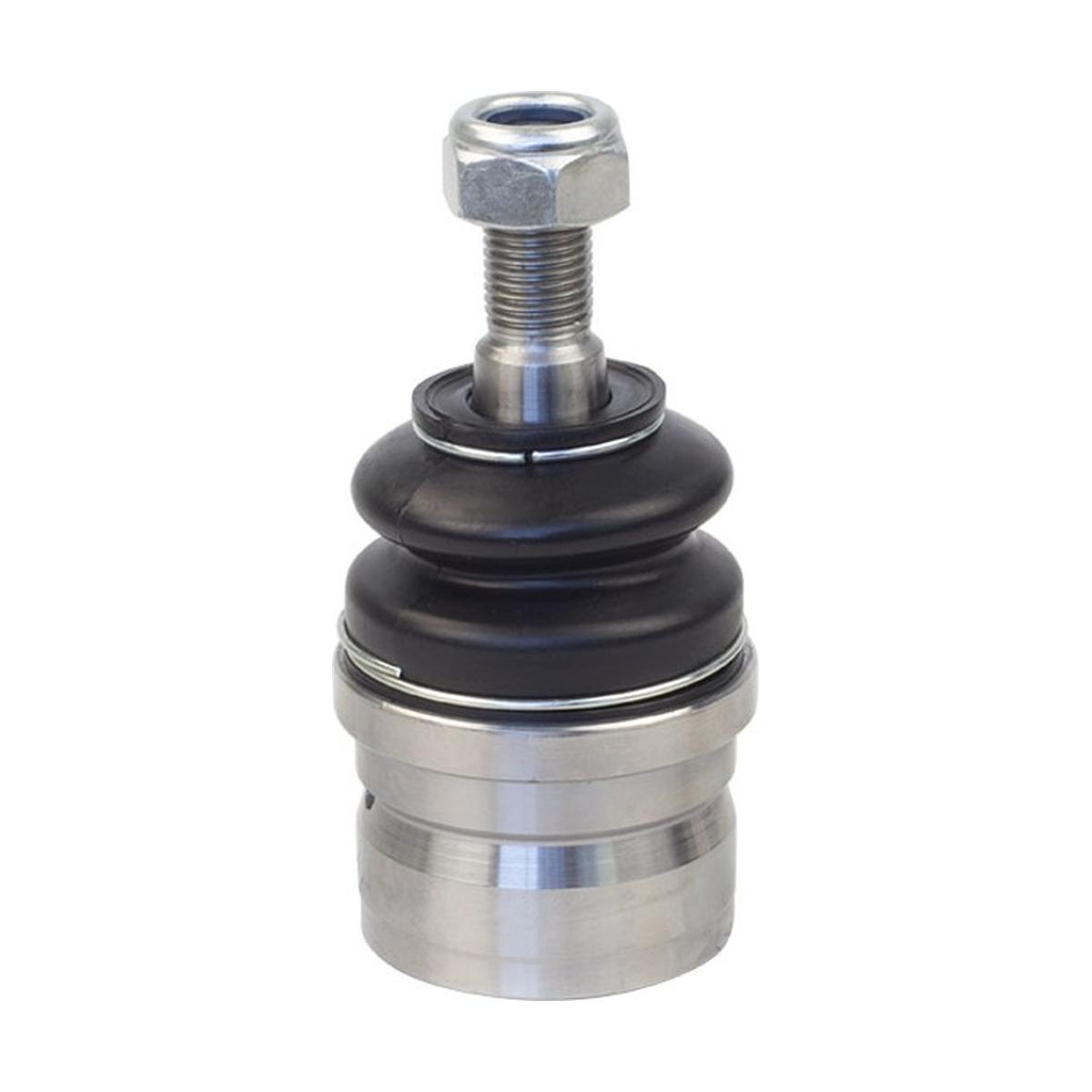 Pivo Inferior Direito ou Esquerdo para Dodge Dakota - Vetor - Vtp044