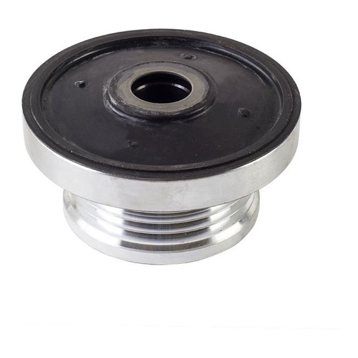 Polia do Alternador para Renault Megane - Vetor - Vt8571