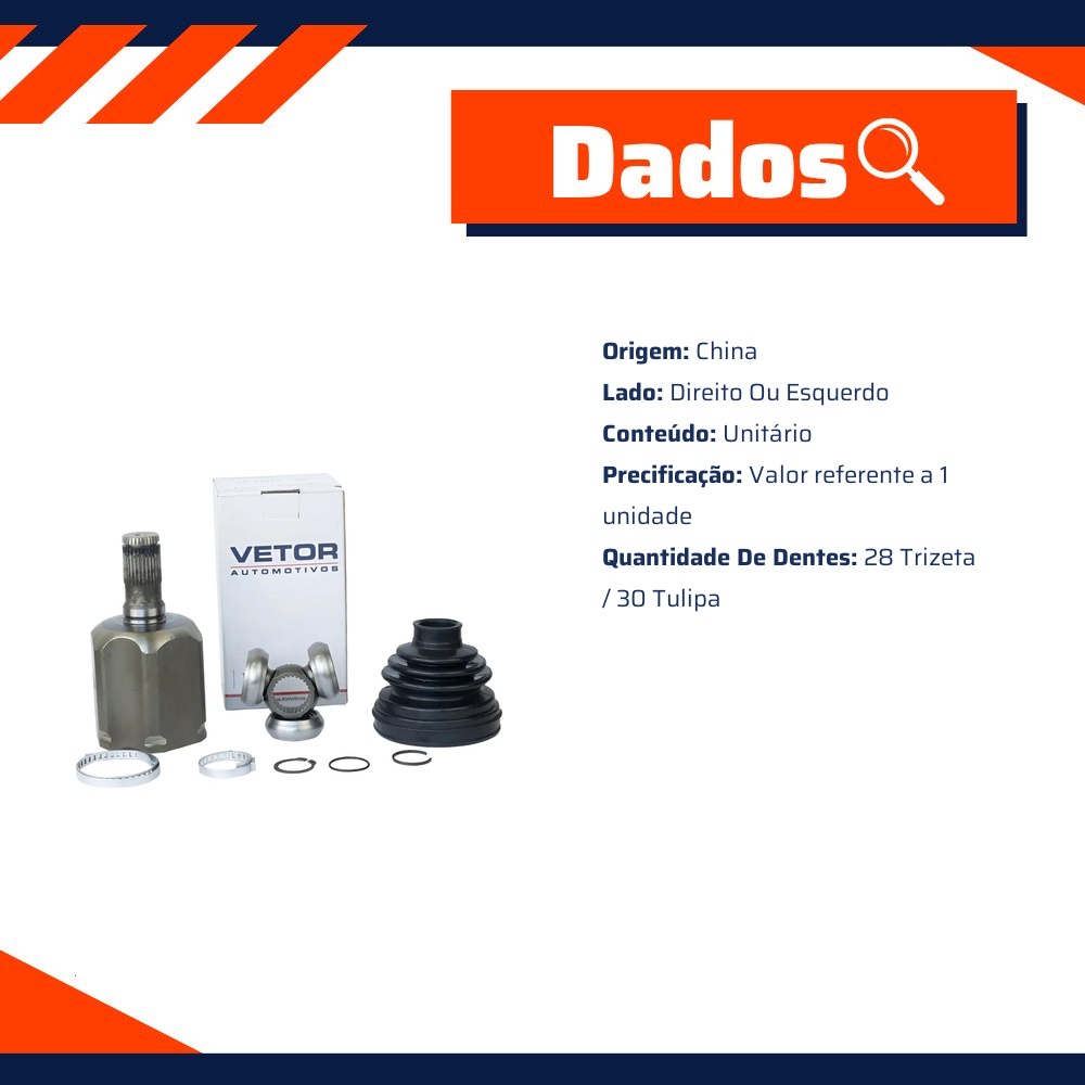 Tulipa Direita ou Esquerda - Vetor - Vt5634