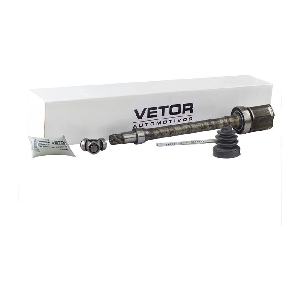 Tulipa Direita ou Esquerda - Vetor - Vt5226