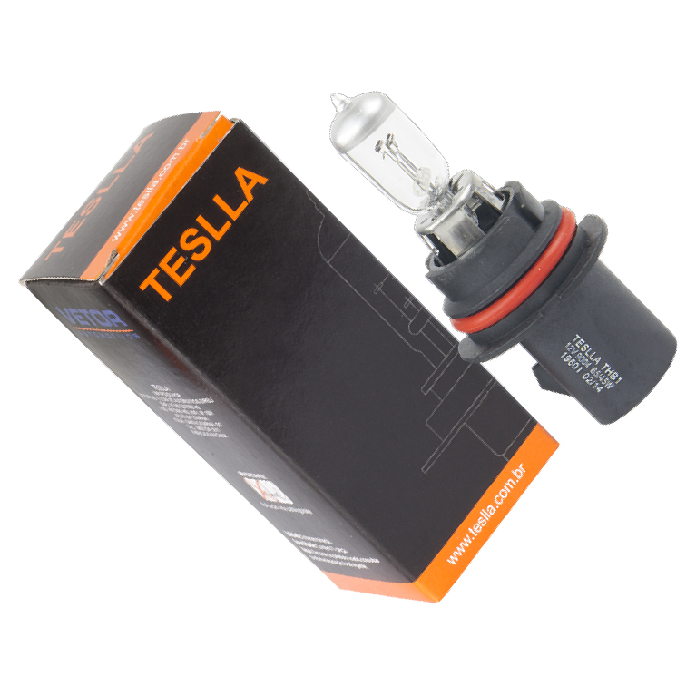 Lâmpada Halógena 12V 65/45W - Teslla - Thb1
