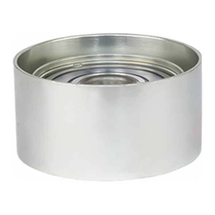 Polia do Tensor do Alternador - Vetor - Vt8167