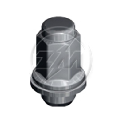 Kit 50 Porca da Roda M12-1,5 x CH21 x H47 - ZM - 29.012.23