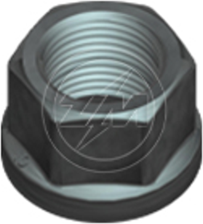 Kit 100 Porca da Roda M18-1,5 x CH24 x H19 - ZM - 29.018.01