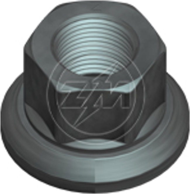 Kit 30 Porca da Roda M20-1,5 x CH30 x H27 - ZM - 29.020.05