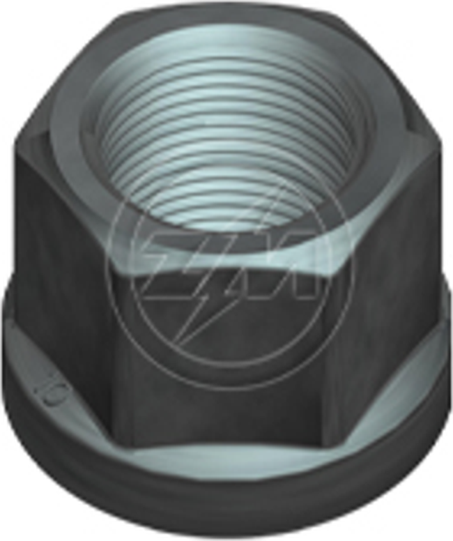 Kit 50 Porca da Roda M22-1,5 x CH30 x H28 - ZM - 29.022.02