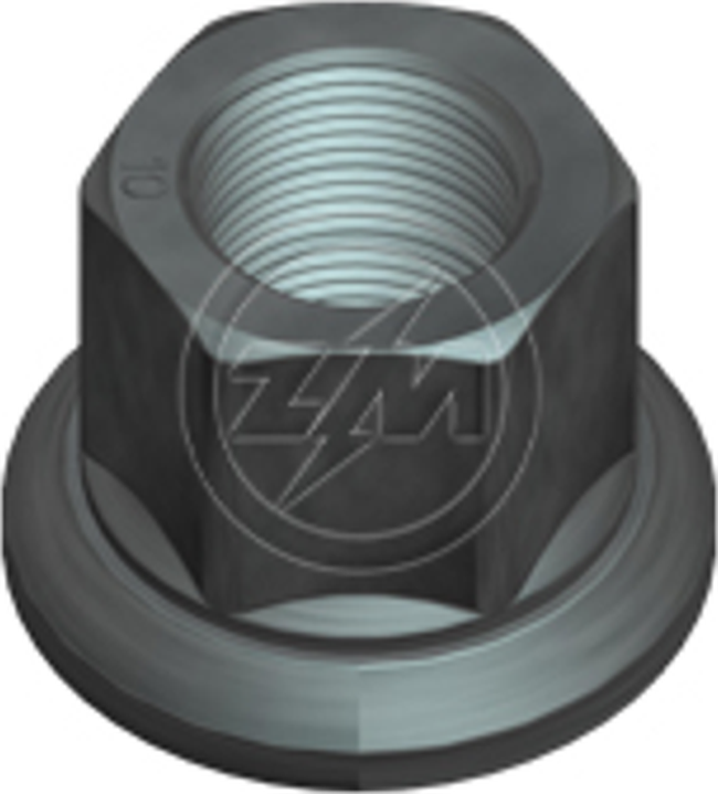 Kit 30 Porca da Roda M22-1,5 x CH32 x H33 - ZM - 29.022.04
