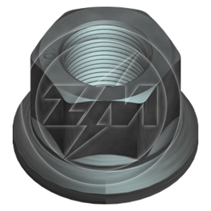 Kit 30 Porca da Roda M22-1,5 x CH33 x H30 - ZM - 29.022.05