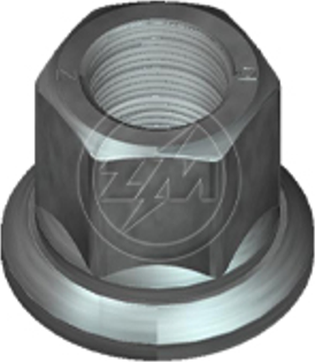 Kit 25 Porca da Roda M22-1,5 x CH32 x H36 - ZM - 29.022.06