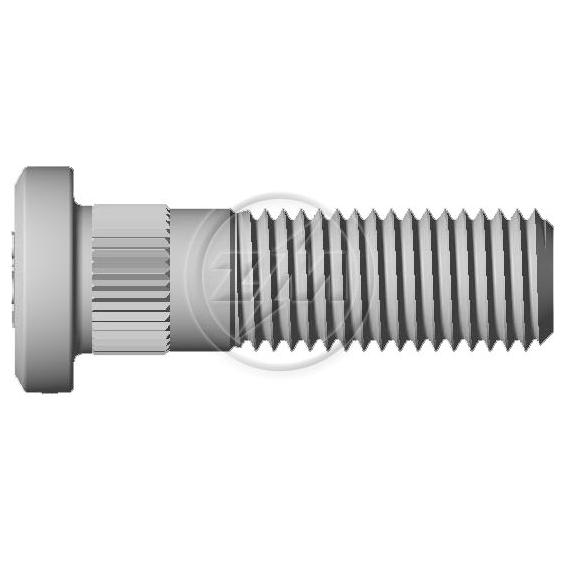 Kit 80 Parafuso de Roda M12-1,5 x 40/46 - ZM - 30.012.86