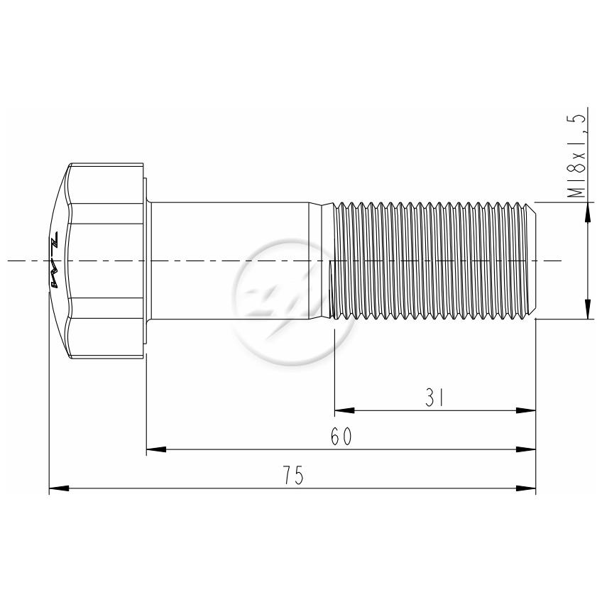 Kit 25 Parafuso da Esteira M18-1,5 x 60 x CH27 - ZM - 3001855