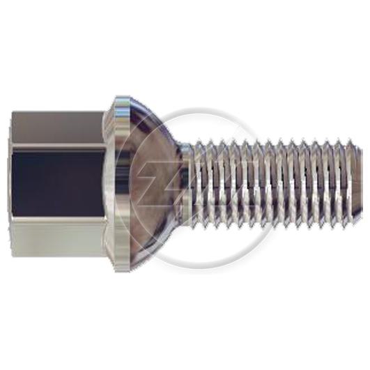 Kit 50 Parafuso de Roda M12-1,5 x 24/46 x CH17 - ZM - 3041250