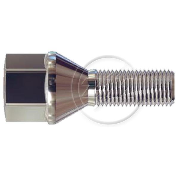 Kit 50 Parafuso de Roda M12-1,25 x 27/53,5 x CH19 - ZM - 3041270