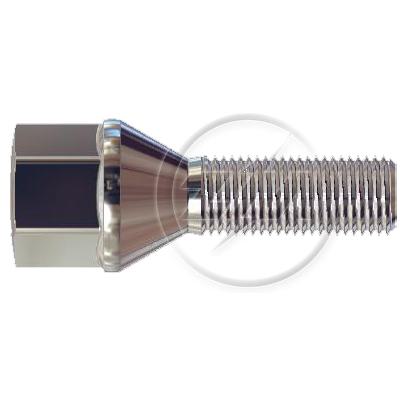 Kit 50 Parafuso de Roda M12-1,25 x 31/57,5 x CH19 - ZM - 3041271