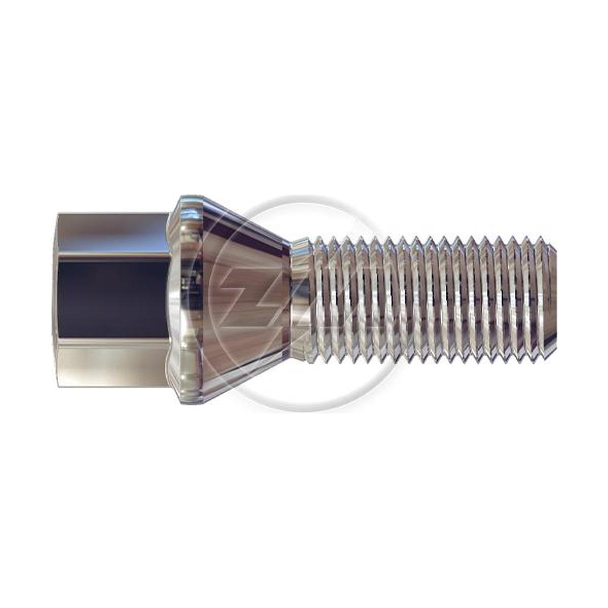 Kit 50 Parafuso de Roda M14-1,5 x 29/55 x CH17 - ZM - 3041451