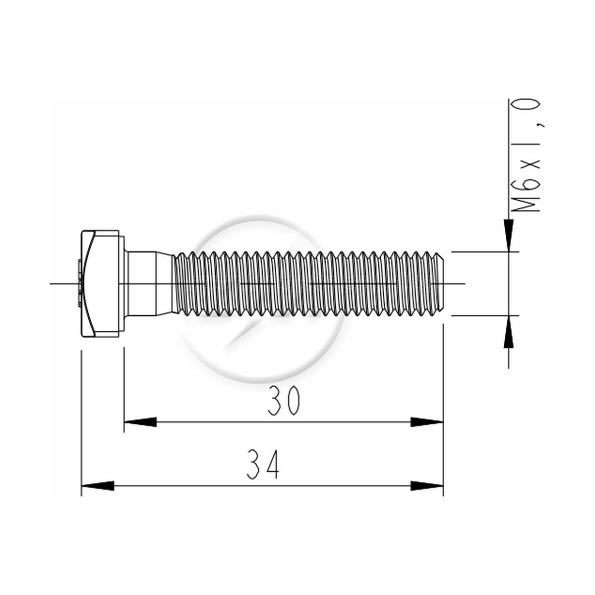 Kit 250 Parafuso Terminal Bateria M6-1,0x30/34 CH10 - ZM - 3200699
