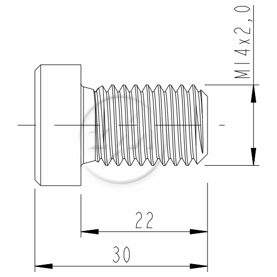 Kit 100 Parafuso da Quinta Roda M14-2,0 X 22 X CH10 - ZM - 3201458