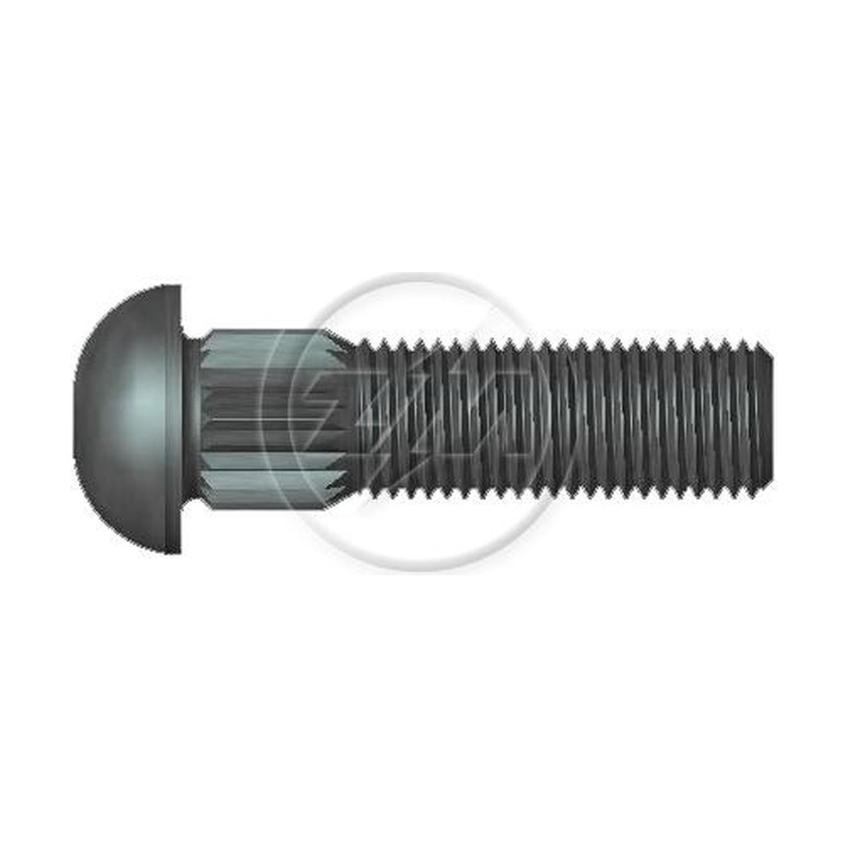 Kit 100 Parafuso Cravo Alto 3/8"-24F X 1,3/8" - ZM - 3230821
