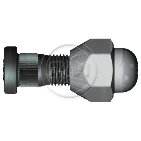 Prisioneiro de Roda com Porca Caixa com 80 Unidades para Nissan Frontier e Sentra - ZM - 40.012.02