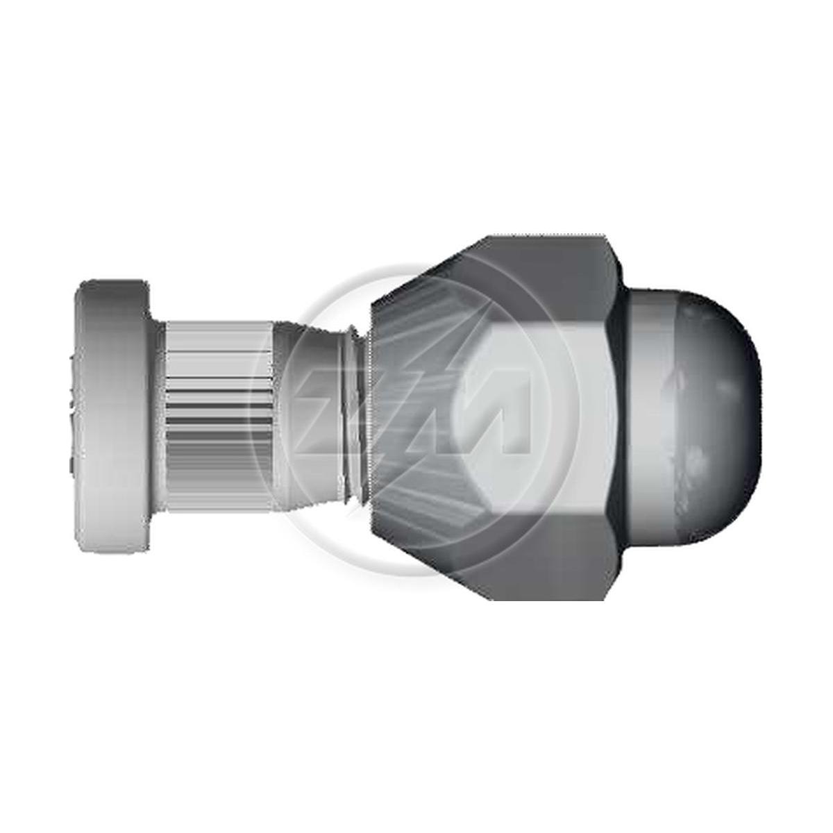 Prisioneiro de Roda com Porca Caixa com 80 Unidades para Nissan Frontier e Sentra - ZM - 40.012.03